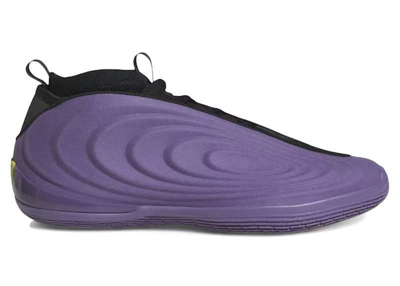 adidas Harden Vol. 10 Matte Purple - JQ9426 - image principale