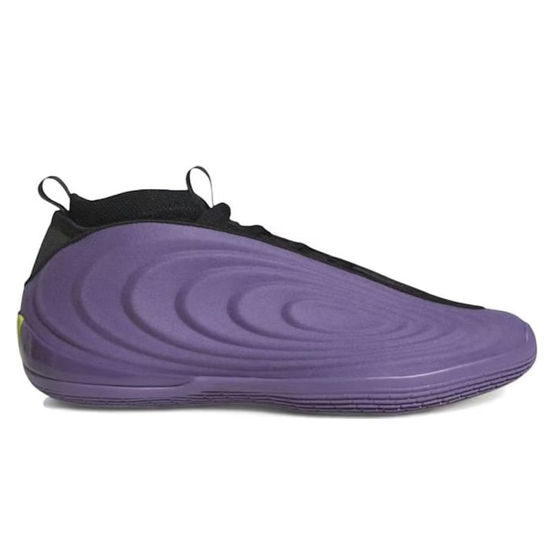 adidas Harden Vol. 10 Matte Purple - JQ9426 - image principale
