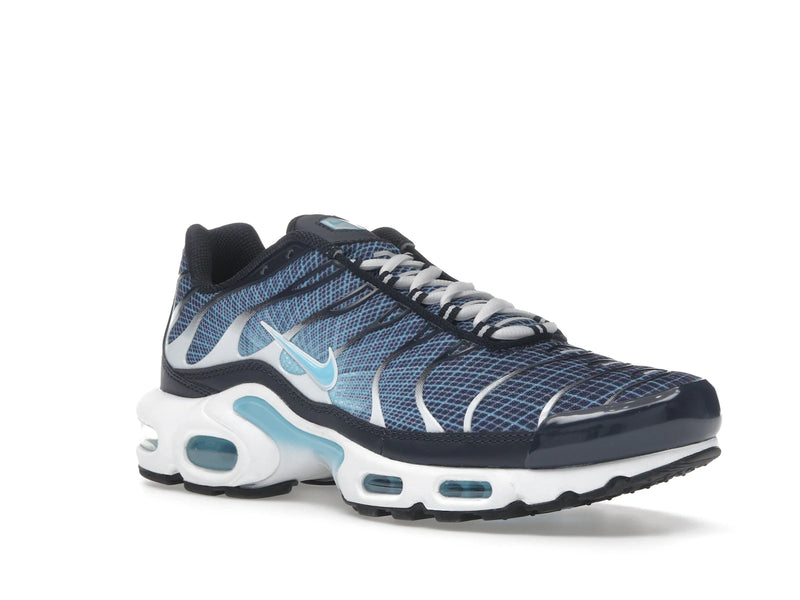 Nike Air Max Plus Dark Obsidian - Dark Obsidian/Blue Chill/White/Black - IH4460-400 - 04