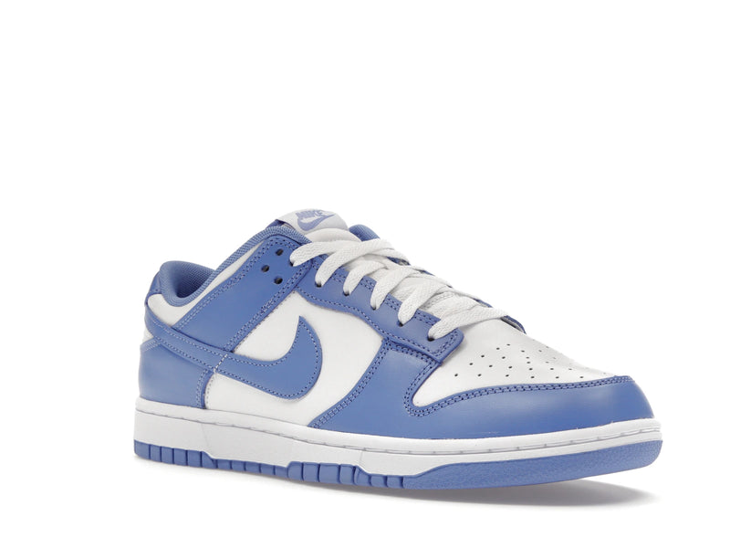 Nike Dunk Low Polar Blue - Polar/Polar/White/White - DV0833-400 - 04