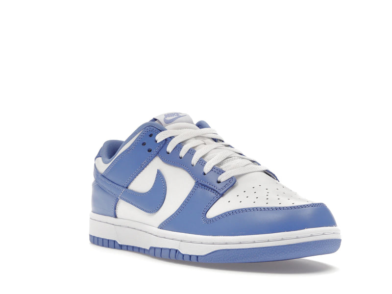 Nike Dunk Low Polar Blue - Polar/Polar/White/White - DV0833-400 - 05