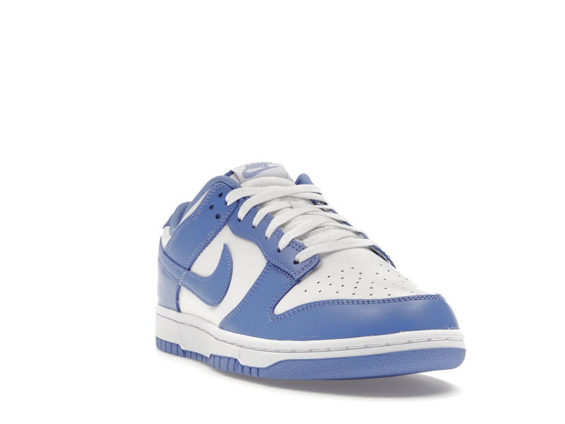 Nike Dunk Low Polar Blue - Polar/Polar/White/White - DV0833-400 - 06