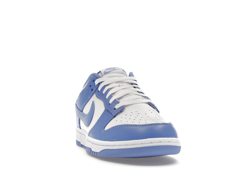 Nike Dunk Low Polar Blue - Polar/Polar/White/White - DV0833-400 - 07