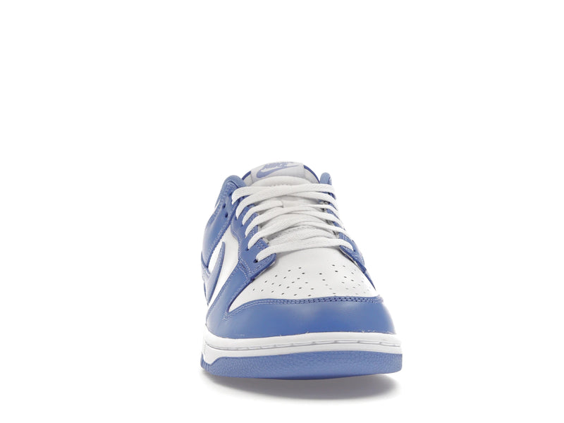 Nike Dunk Low Polar Blue - Polar/Polar/White/White - DV0833-400 - 08