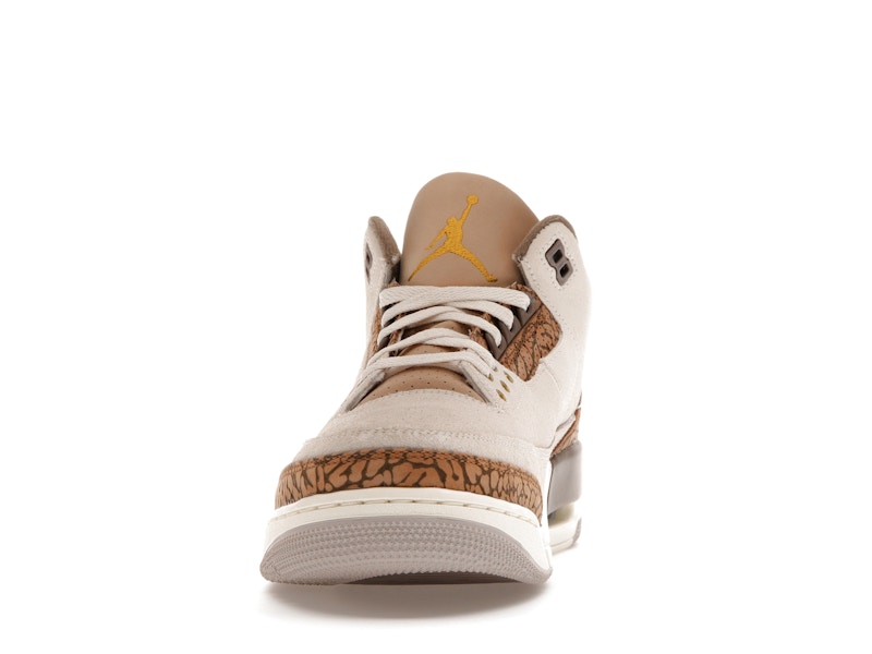 Air Jordan 3 Retro Palomino - Light Orewood Brown/Metallic Gold/Light British Tan/Palomino - CT8532-102 - 10