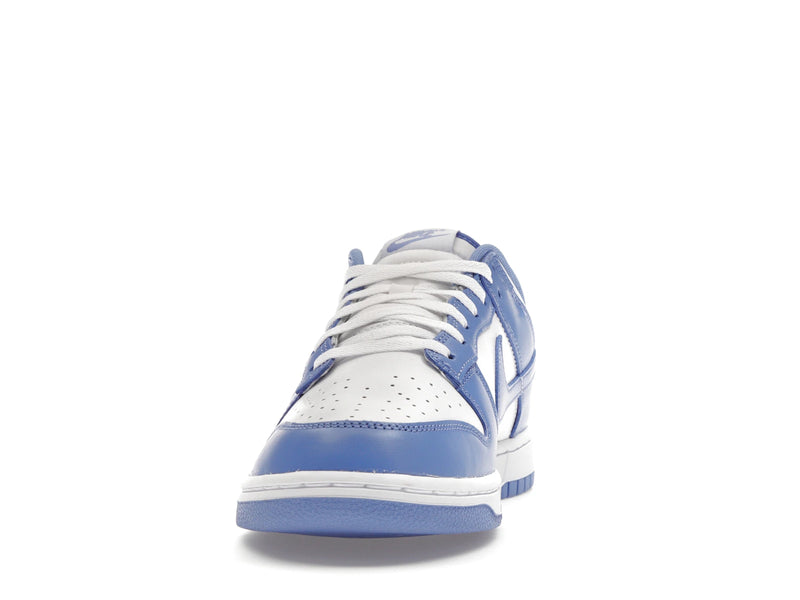 Nike Dunk Low Polar Blue - Polar/Polar/White/White - DV0833-400 - 10