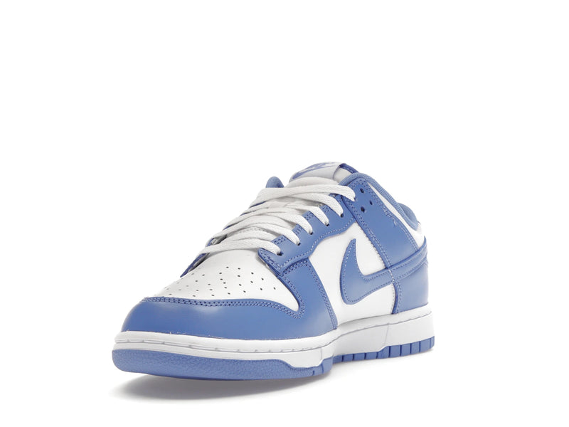 Nike Dunk Low Polar Blue - Polar/Polar/White/White - DV0833-400 - 12