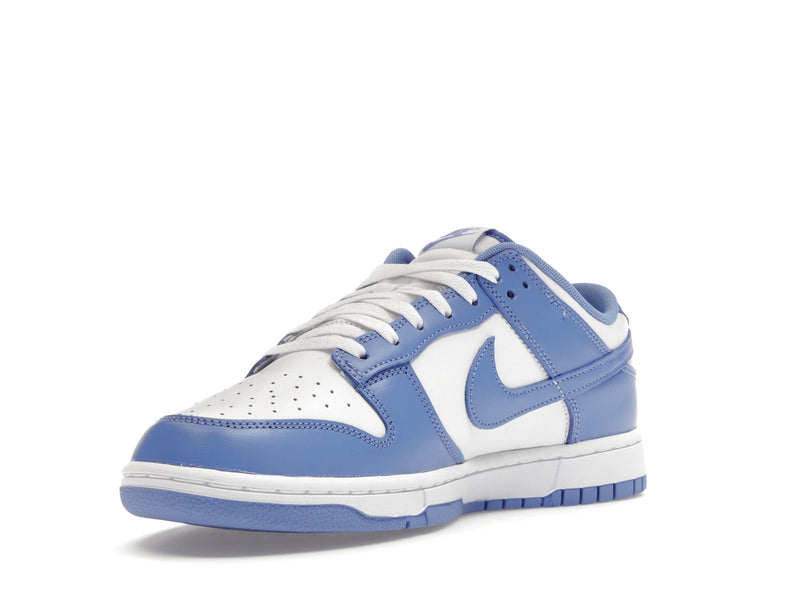 Nike Dunk Low Polar Blue - Polar/Polar/White/White - DV0833-400 - 13