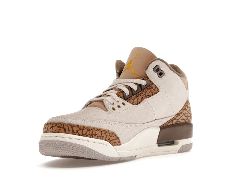 Air Jordan 3 Retro Palomino - Light Orewood Brown/Metallic Gold/Light British Tan/Palomino - CT8532-102 - 13