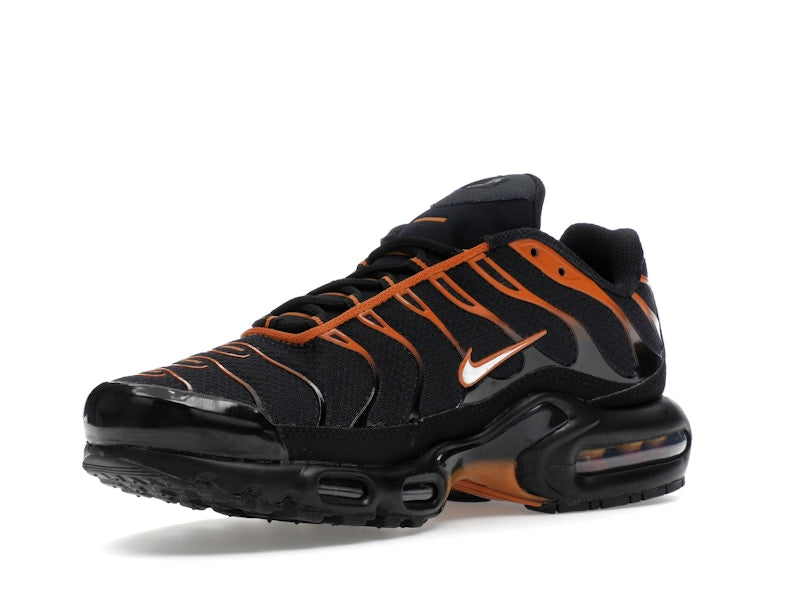 Nike Air Max Plus Dark Obsidian Monarch - Dark Obsidian/Monarch/Black/White - FN6949-400 - 14
