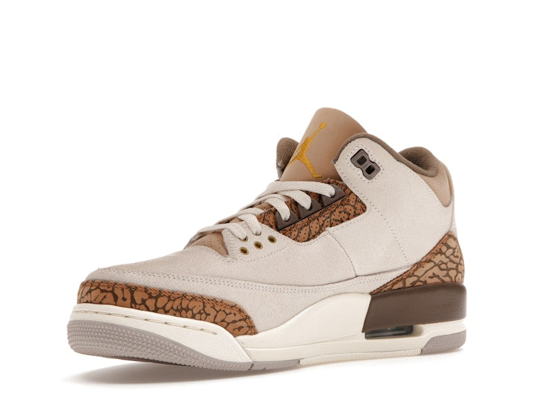 Air Jordan 3 Retro Palomino - Light Orewood Brown/Metallic Gold/Light British Tan/Palomino - CT8532-102 - 14