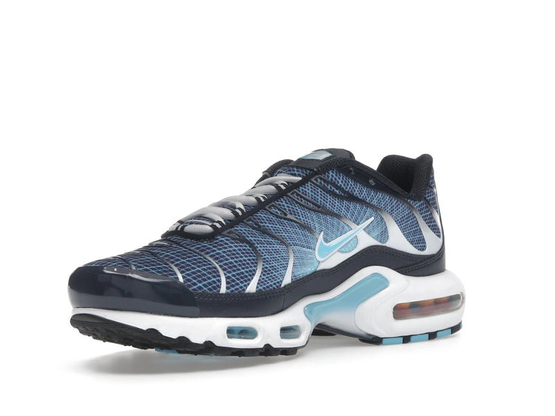 Nike Air Max Plus Dark Obsidian - Dark Obsidian/Blue Chill/White/Black - IH4460-400 - 14