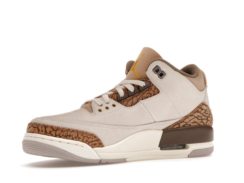 Air Jordan 3 Retro Palomino - Light Orewood Brown/Metallic Gold/Light British Tan/Palomino - CT8532-102 - 15