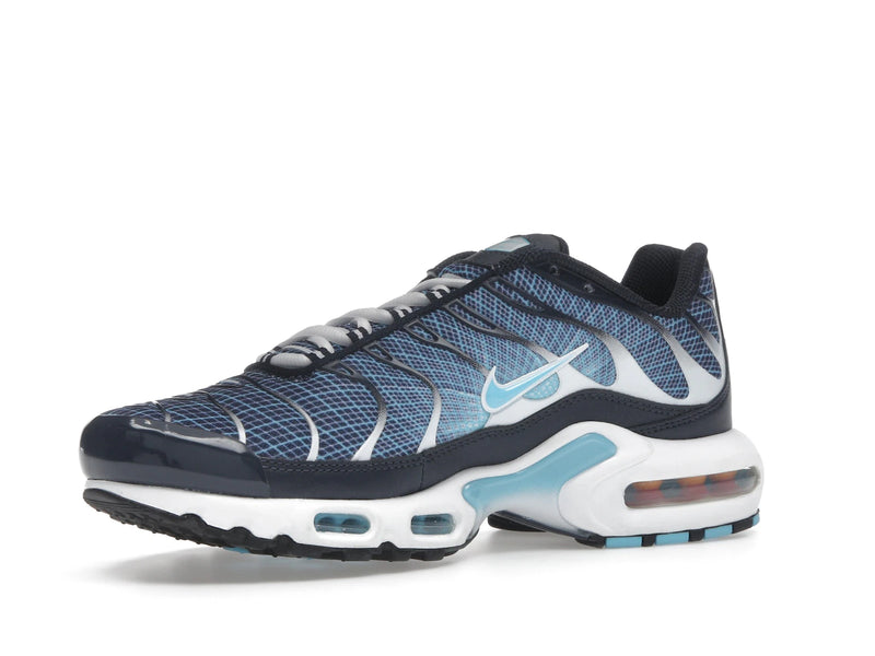 Nike Air Max Plus Dark Obsidian - Dark Obsidian/Blue Chill/White/Black - IH4460-400 - 15