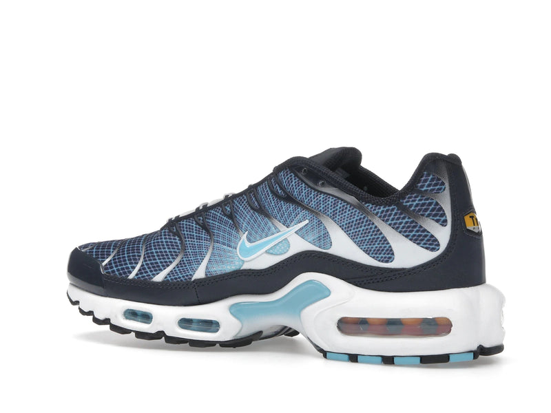 Nike Air Max Plus Dark Obsidian - Dark Obsidian/Blue Chill/White/Black - IH4460-400 - 21