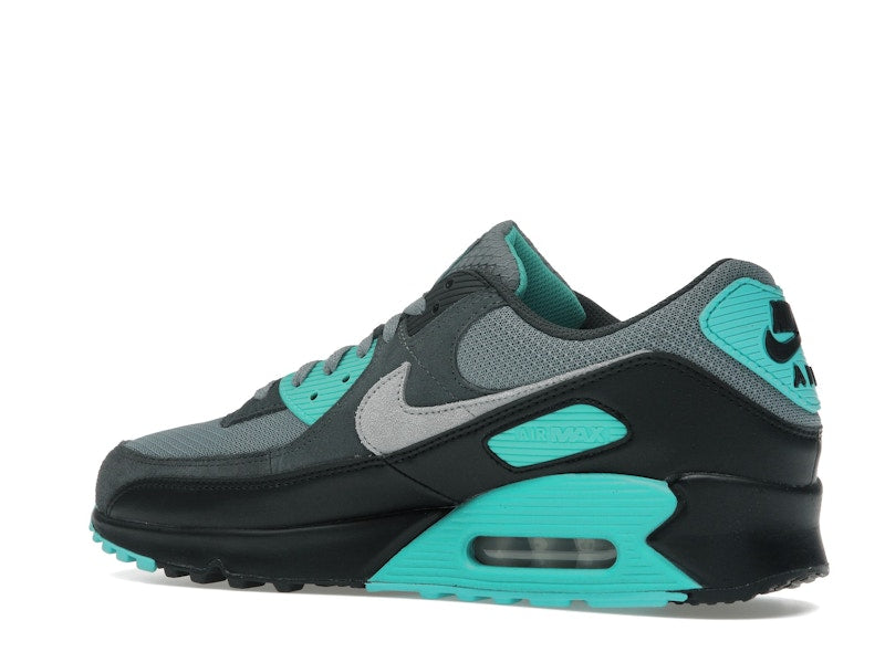 Nike Air Max 90 Cool Grey Dusty Cactus Black Wolf Grey - Cool Grey/Dusty Cactus/Black/Wolf Grey - DM0029-013 - 21