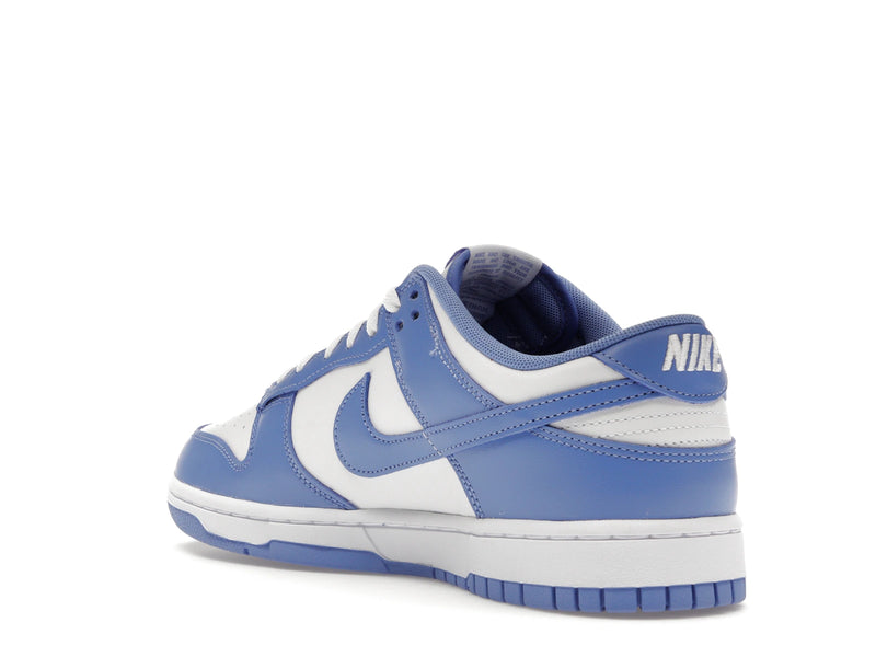 Nike Dunk Low Polar Blue - Polar/Polar/White/White - DV0833-400 - 23