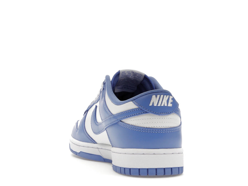 Nike Dunk Low Polar Blue - Polar/Polar/White/White - DV0833-400 - 25