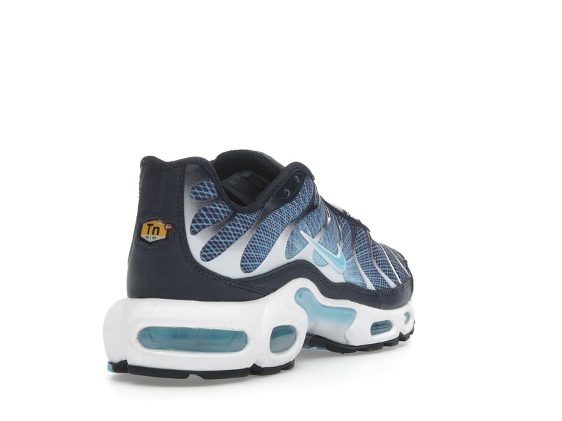 Nike Air Max Plus Dark Obsidian - Dark Obsidian/Blue Chill/White/Black - IH4460-400 - 30