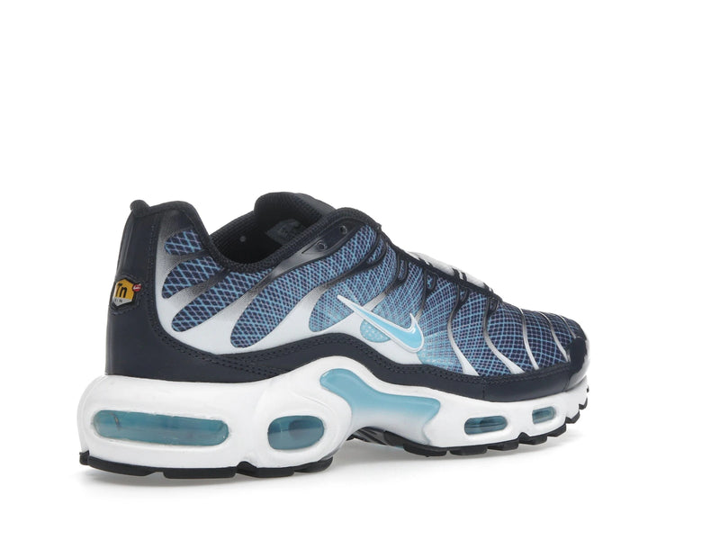 Nike Air Max Plus Dark Obsidian - Dark Obsidian/Blue Chill/White/Black - IH4460-400 - 32