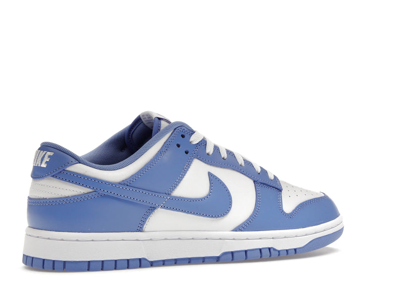 Nike Dunk Low Polar Blue - Polar/Polar/White/White - DV0833-400 - 33