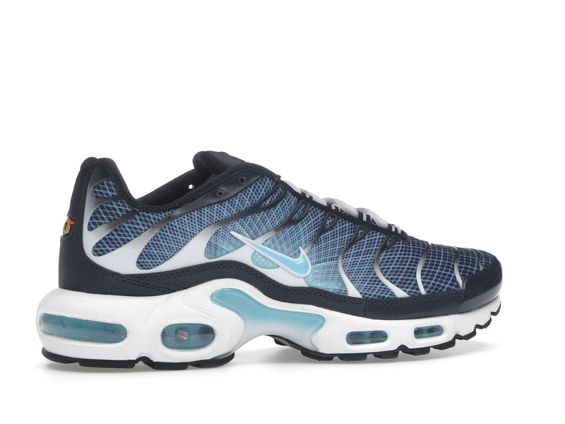 Nike Air Max Plus Dark Obsidian - Dark Obsidian/Blue Chill/White/Black - IH4460-400 - 34