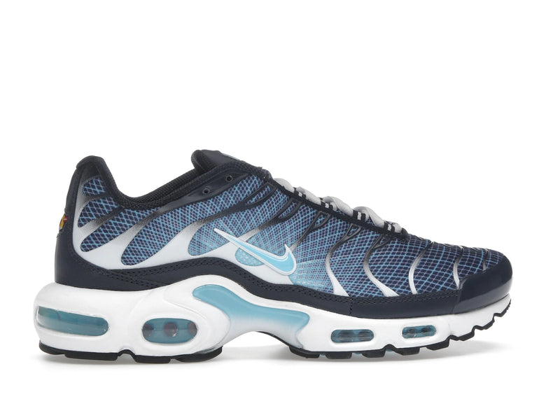 Nike Air Max Plus Dark Obsidian - Dark Obsidian/Blue Chill/White/Black - IH4460-400 - 35